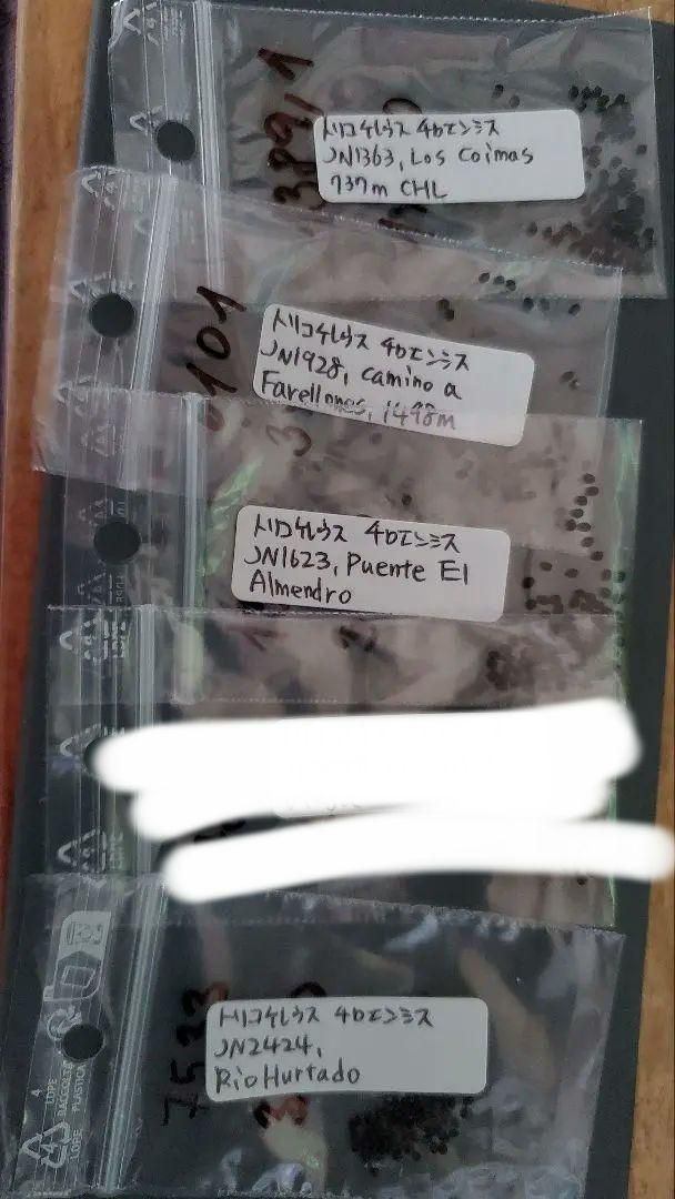 種子45種類 10粒ずつセット