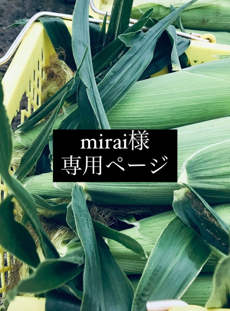 mirai様専用 とうもろこしセット - ソタファーム - メルカリ