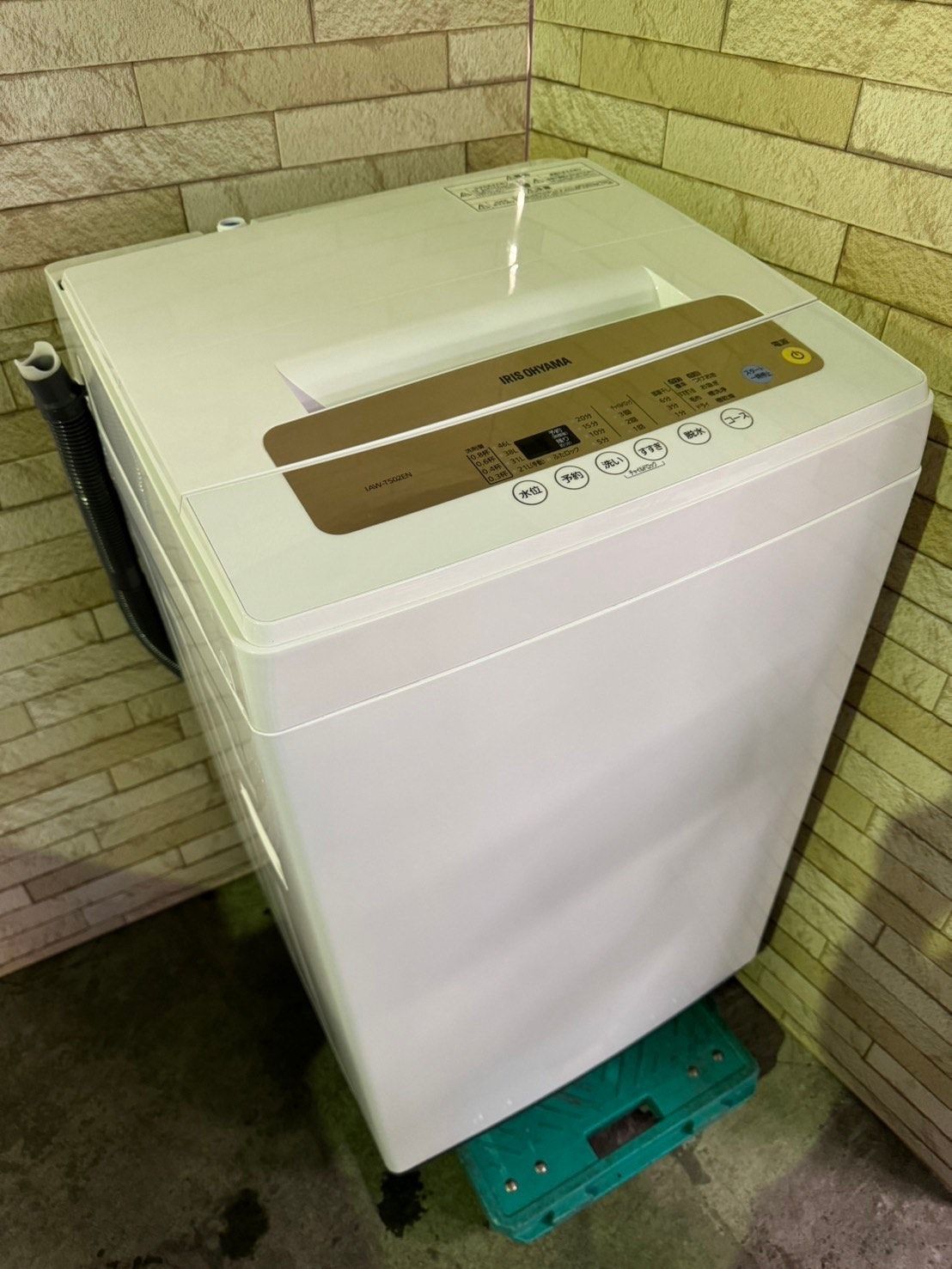 洗濯機 アイリスオーヤマ IAWーT502EN 【公式通販】