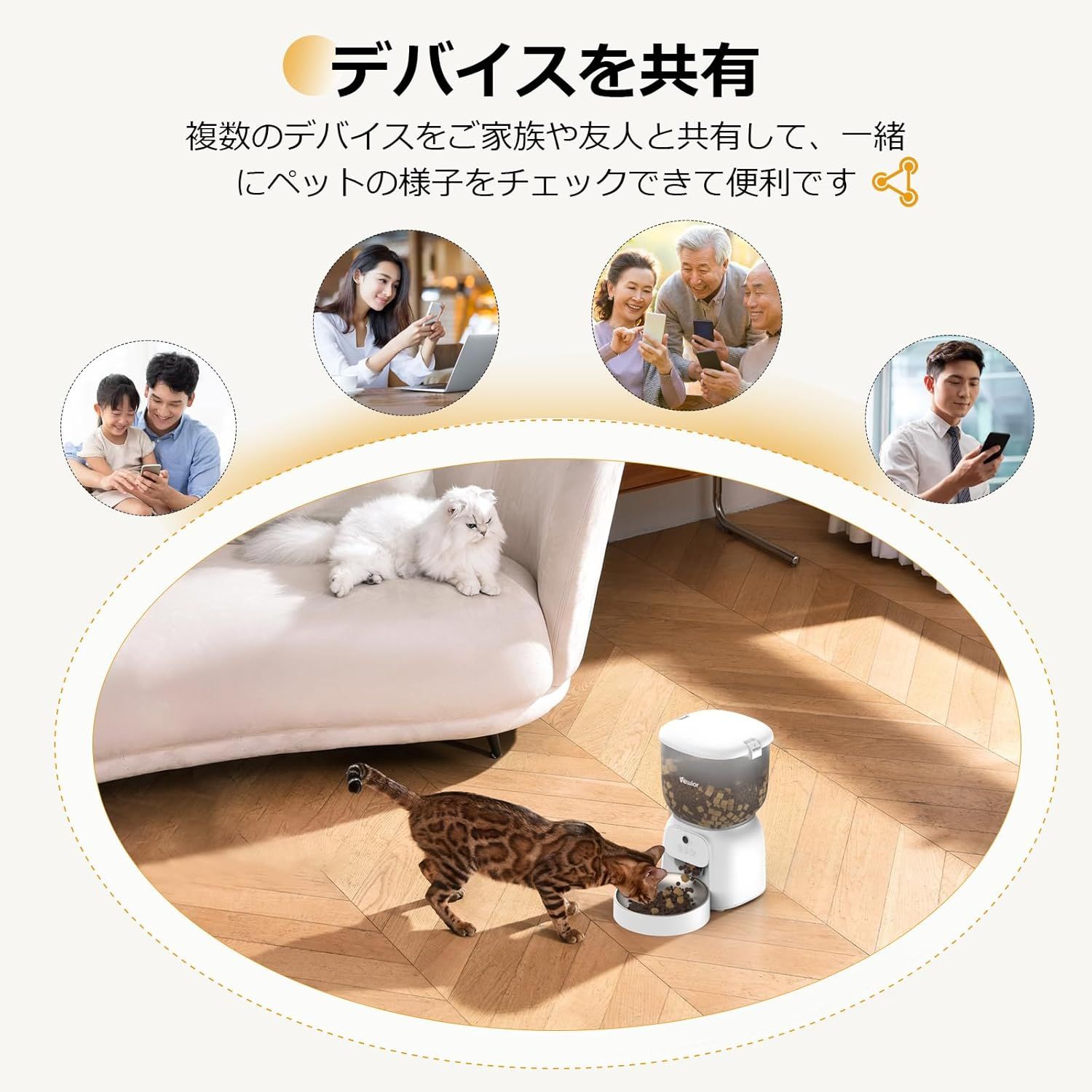 自動餌やり機 猫