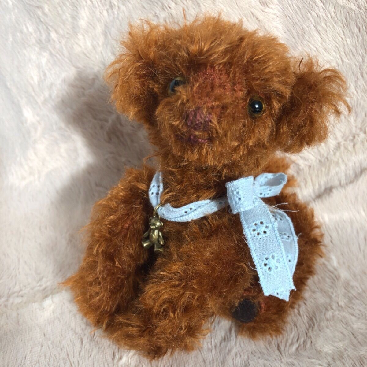 ストア トイプードル レッド