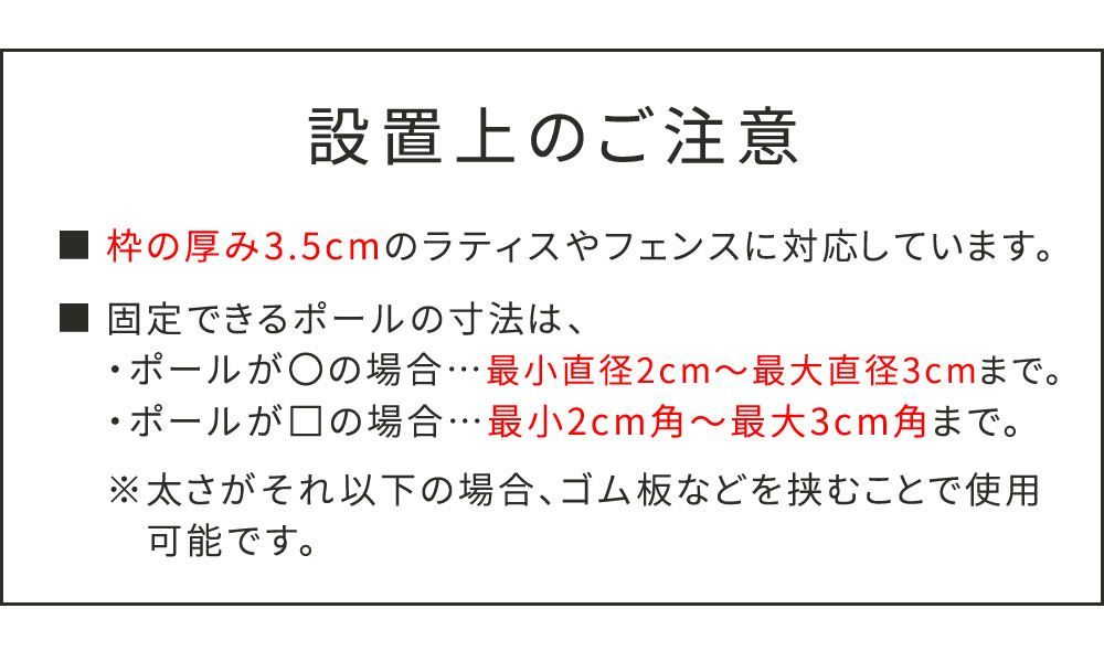 ラティス