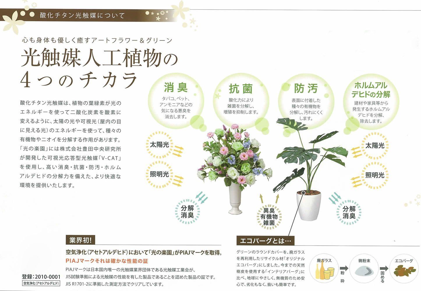 光触媒 モンステラポット