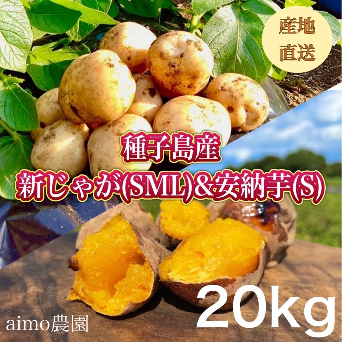 安納いも Mサイズ 20kg たねがしま産種子島農家直送安納芋 5cca6c1234b9bebe6111c24dd92966