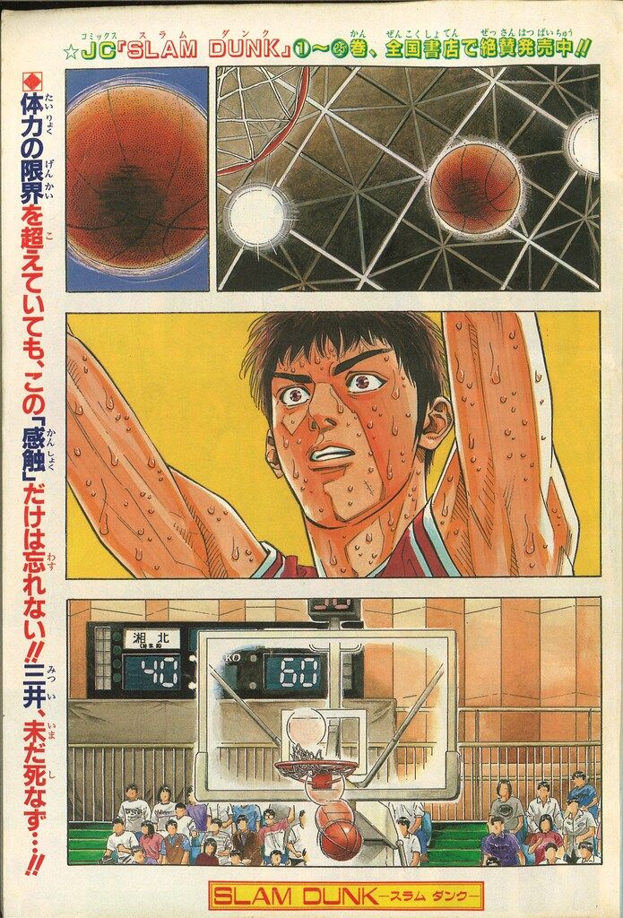 1995年
