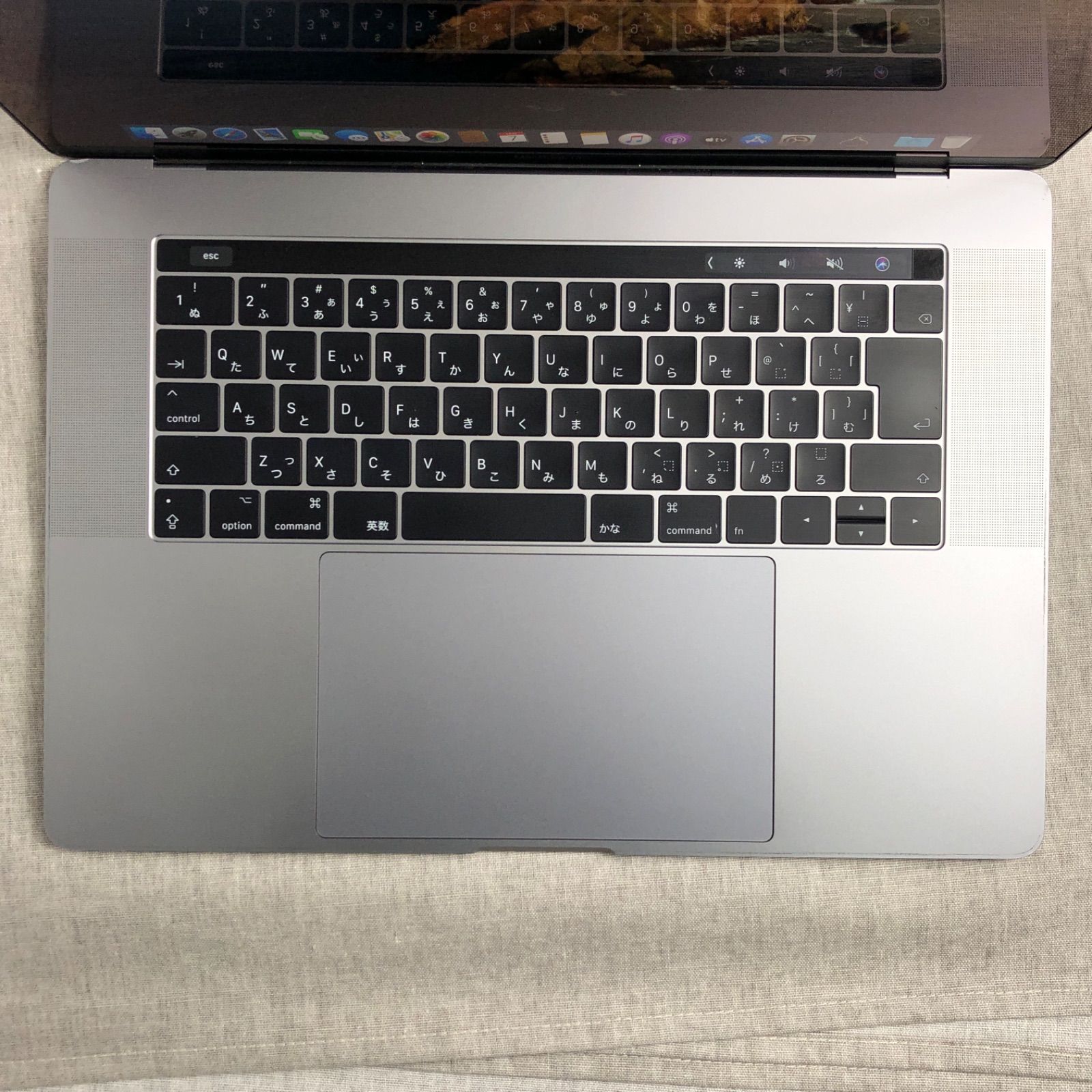 ◇ジャンク品・本体のみ◇Apple MacBook Pro (15-inch, 2017) 【Touch Bar・i7・16GB・2TB・Radeon  Pro 560】☆画面表示異常 他 A1707 EMC3162/LT-JUNK-231902（164315） - メルカリ