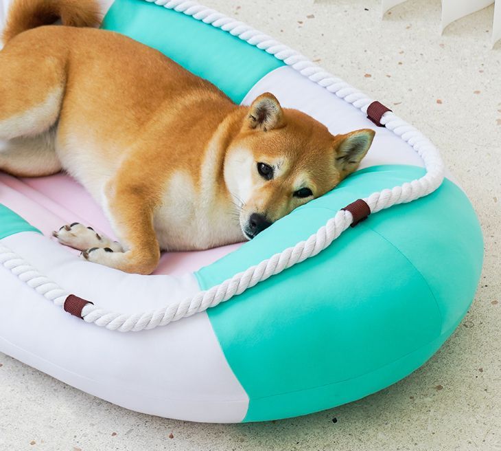 猫用 小型犬