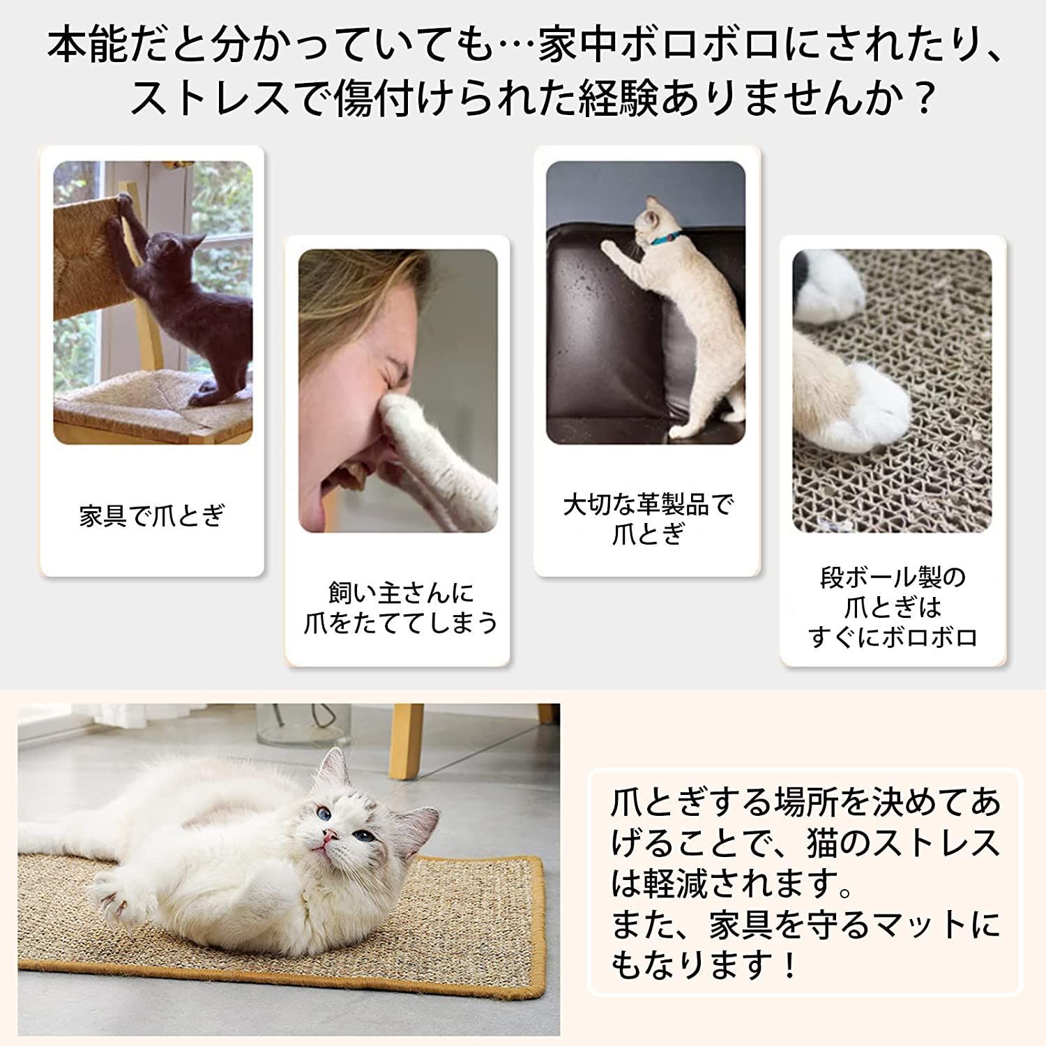 定番 新品 未使用 Landl 猫用爪とぎマット 猫 つめとぎ 爪とぎ 壁紙保護シート インテリア Mサイズ 40 60 猫用品 Www Hca Com Py Www Hca Com Py