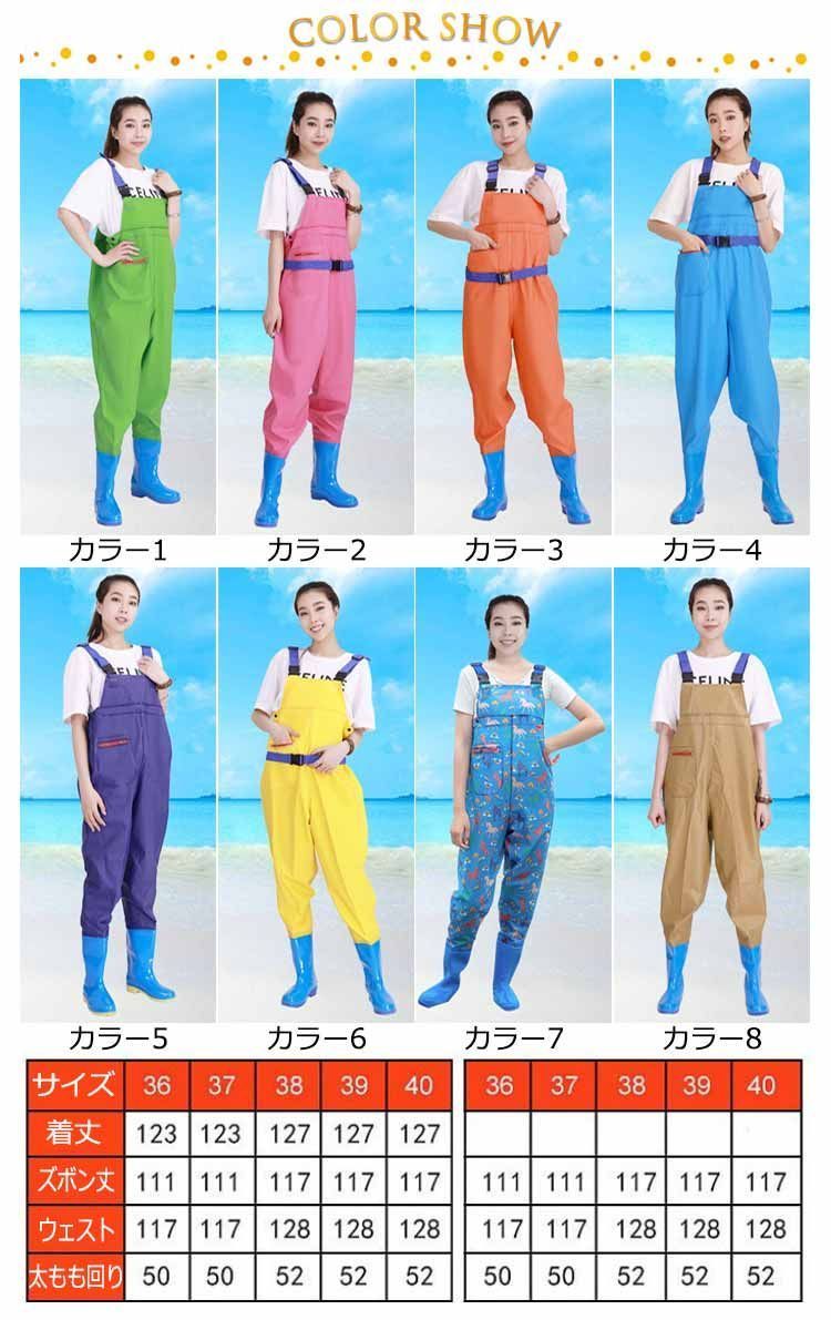 胴 長 女性