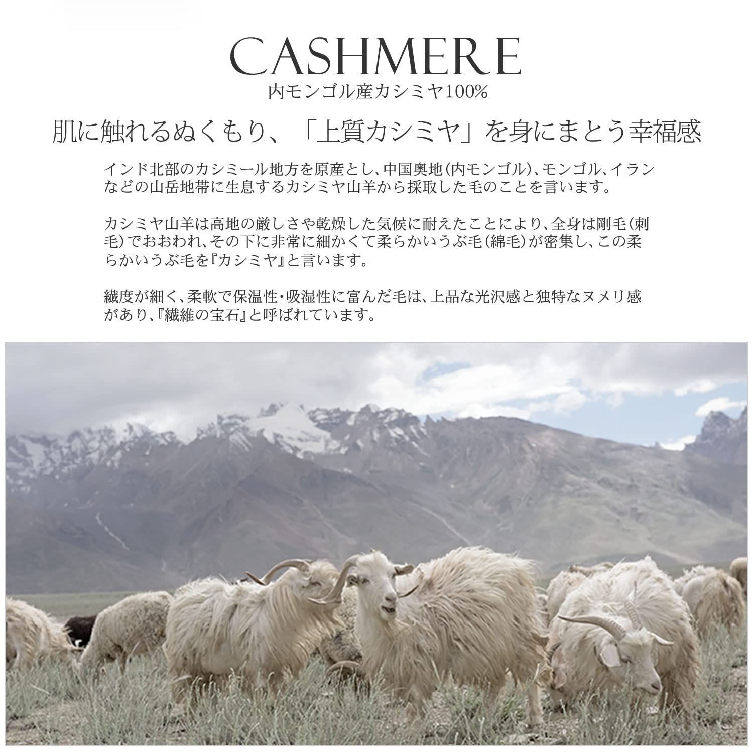 数量 大判タイプ 350g CS0055 厚手カシミヤ100％ストール