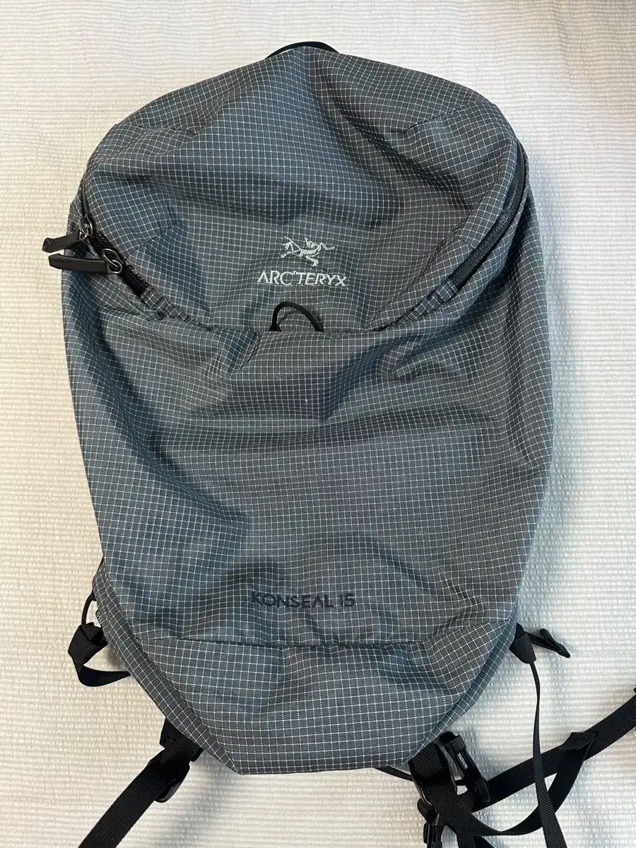ARC TERYX アークテリクス 隠す 15 ネプチューングリーン