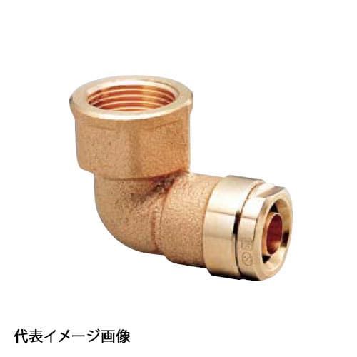 渡辺幸二 薔薇 原画 油絵