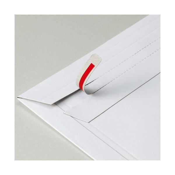 【保障できる！】 まとめ TANOSEE ビジネス封筒開封テープあり 340×250mm 300g m2 1ケース 100枚 ×2セット