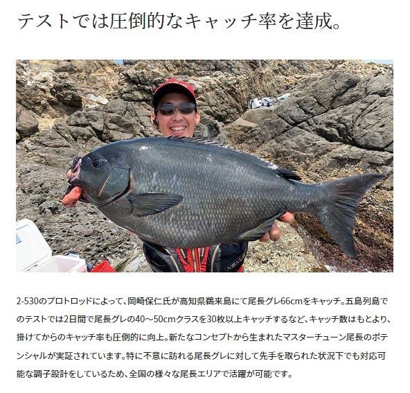 SHIMANOマスターチューン尾長 1.7 50 未記入保証書付き(最終値下げ) 23 マスターチューン 尾長 1．7－50 - メルカリ