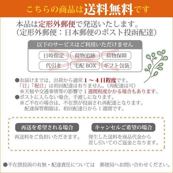 メルカリShops - 食洗機 庫内クリーナー 3回分 粉末タイプ 緑茶エキス・酵素配合 簡単洗浄