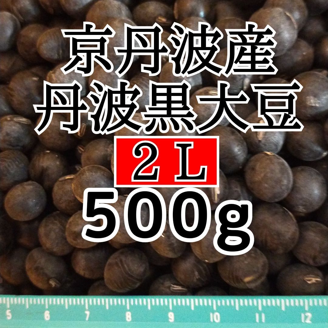 丹波黒大豆 500g 京丹波産 令和4年産 新豆 農家直送 京丹波町 丹波の