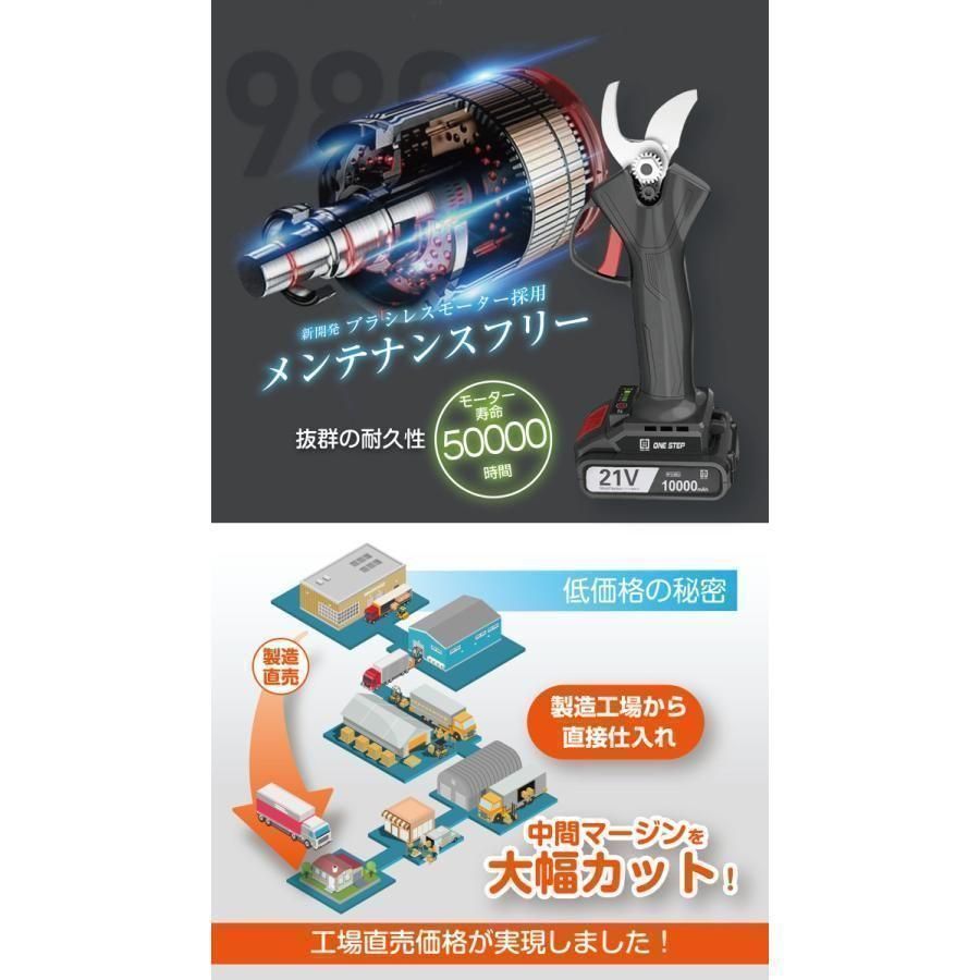 剪定ばさみ 電動 ケース付き 園芸用 コードレス 充電式 剪定ハサミ 741