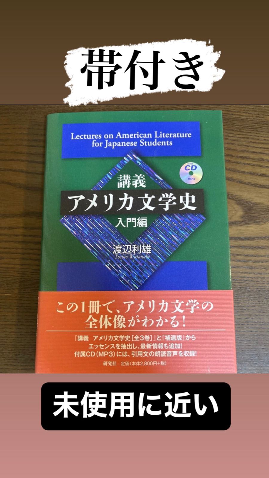 講義アメリカ文学史　入門編 【中古美品】