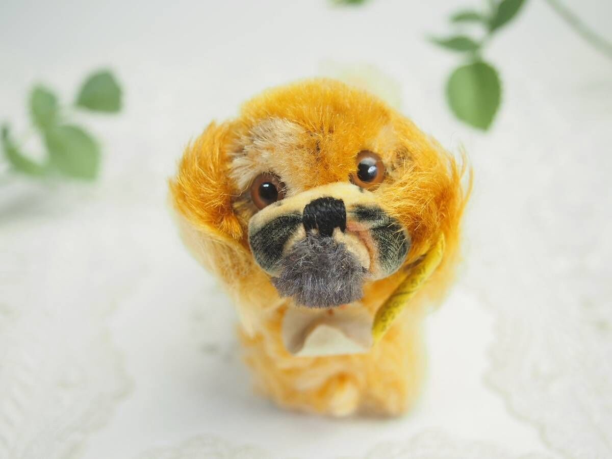 Steiff - シュタイフ★Pekinese Peky 10cm オールID&#39;s完品★ペキニーズ 送料無料☆シュタイフ☆Pekinese Peky ID's完品☆ペキニーズ