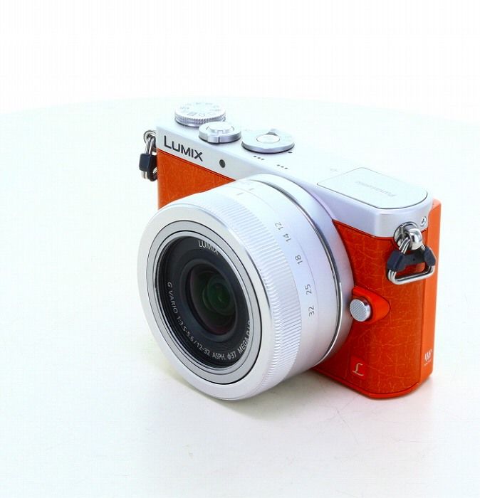 Panasonic DMC-GM1K