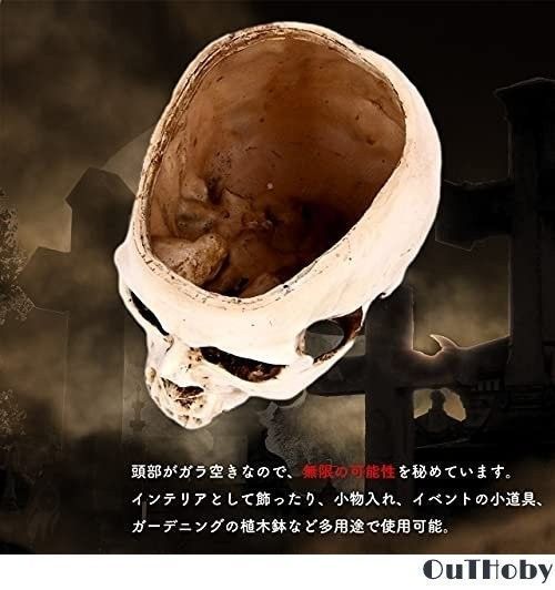 骸骨 ドクロ 置物 小物入れ 灰皿 - メルカリ