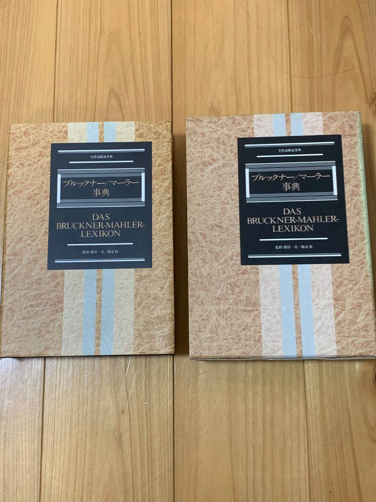 ブルックナー/マーラー事典 ブルックナー/マーラー事典 (全作品解説事典) | 根岸 一美, 渡辺 裕