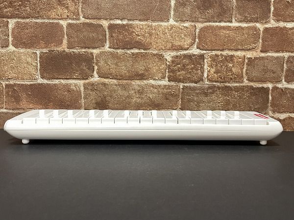 疲*郎様 Supreme シュプリーム Hohner 鍵盤ハーモニカ 新品 中古で購入した鍵盤ハーモニカ Supreme × Hohner Melodicaの清掃