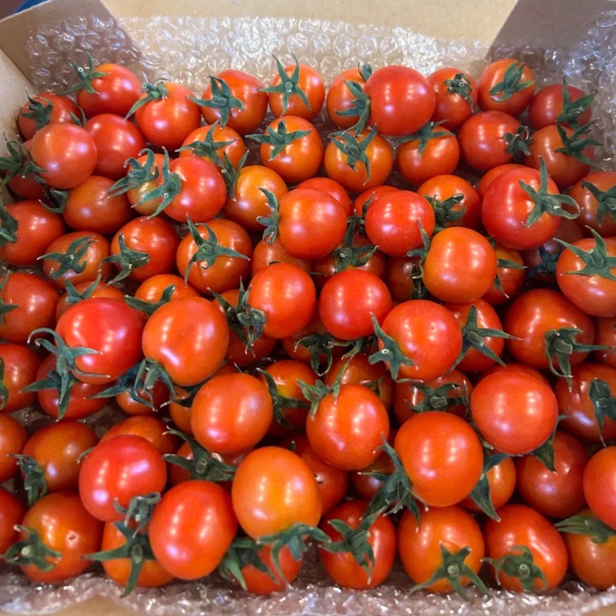 w❤︎様専用 ♥様専用 Wハート様専用 - メルカリ