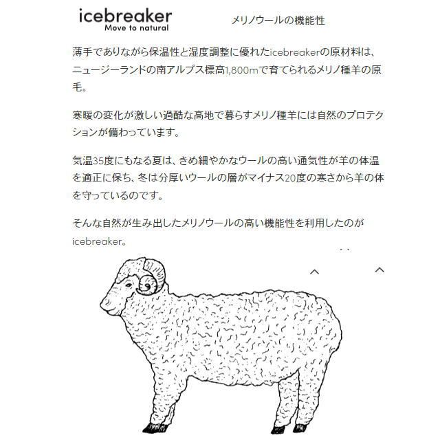 アイスプレーカー