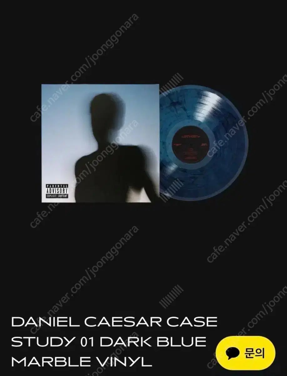 ダニエル DANIELLE シーザー CASE STUDY 01 LP