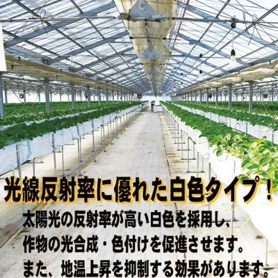 抗菌剤 UV剤