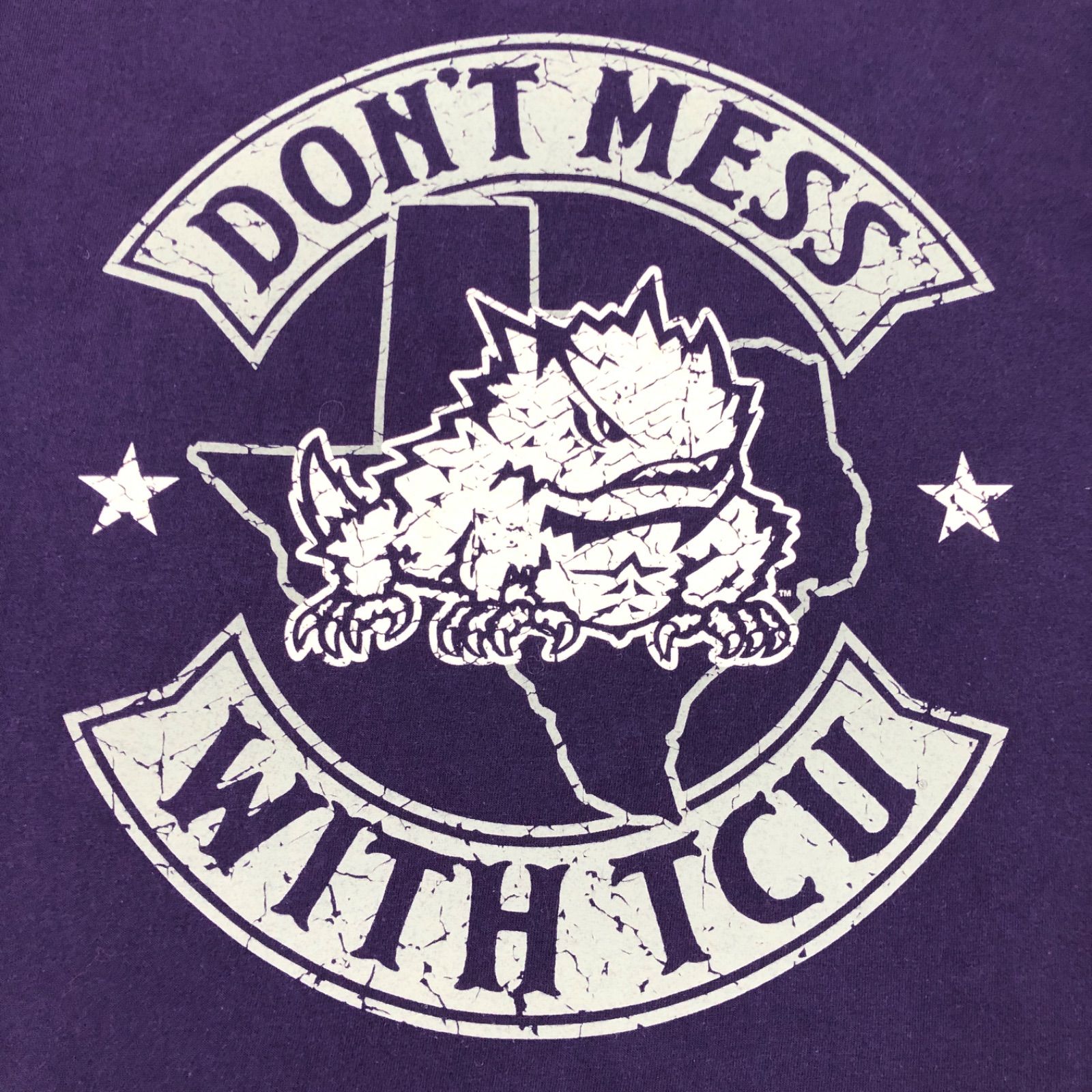 Champion チャンピオン Tシャツ 半袖 TCU スポーツ FEAR THE FROG 
