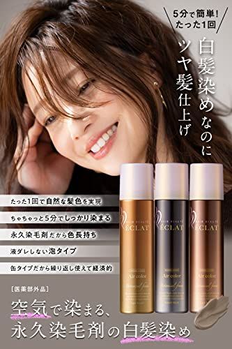 ヘアボーテ エクラ ボタニカル エアカラーフォーム ダーク ボタニカル