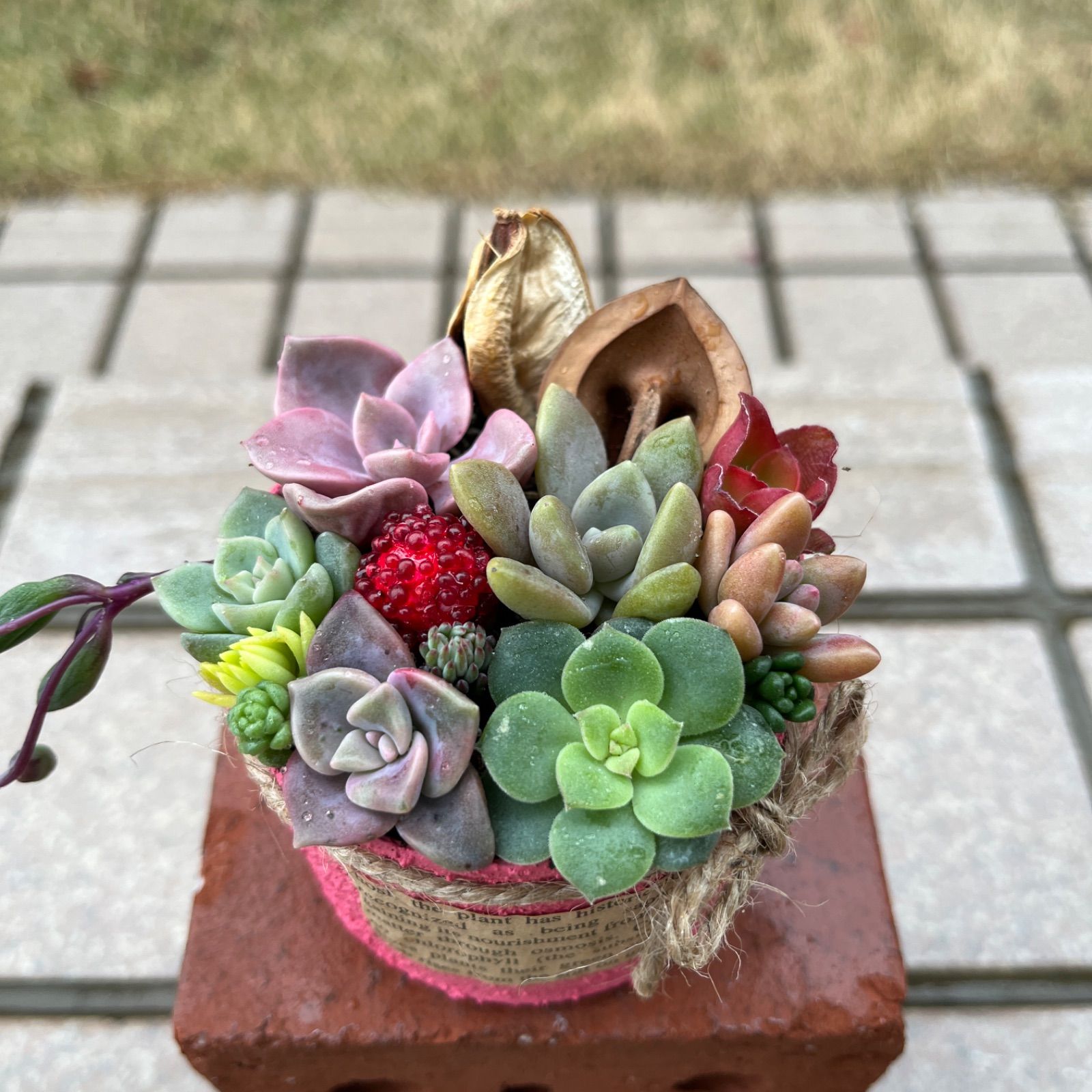 ☆多肉植物 寄せ植え〜カート寄せ〜そのまま飾れます(*^ω^*) - 植物