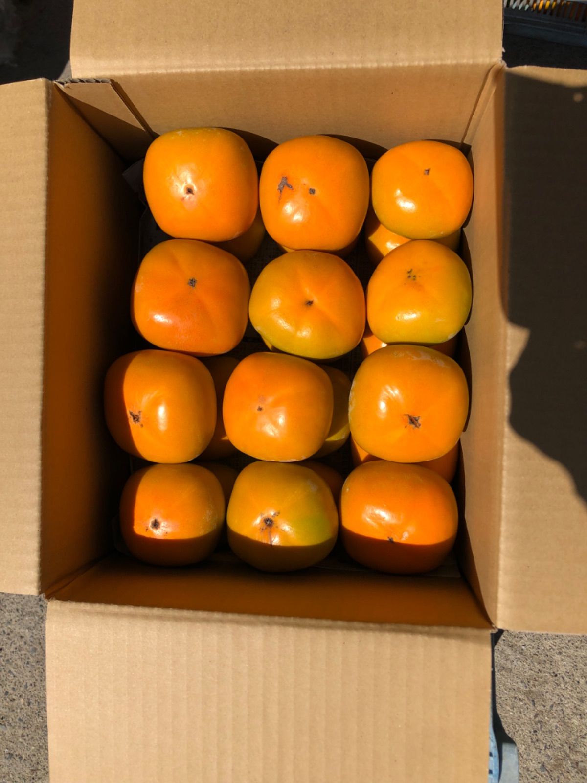 メルカリshops 和歌山県産 たねなし柿 刀根早生 家庭用5キロ