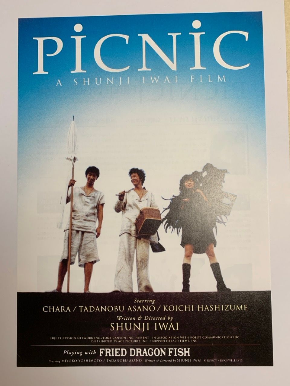 映画 チラシ PiCNiC 岩井俊二 ピクニック - メルカリ