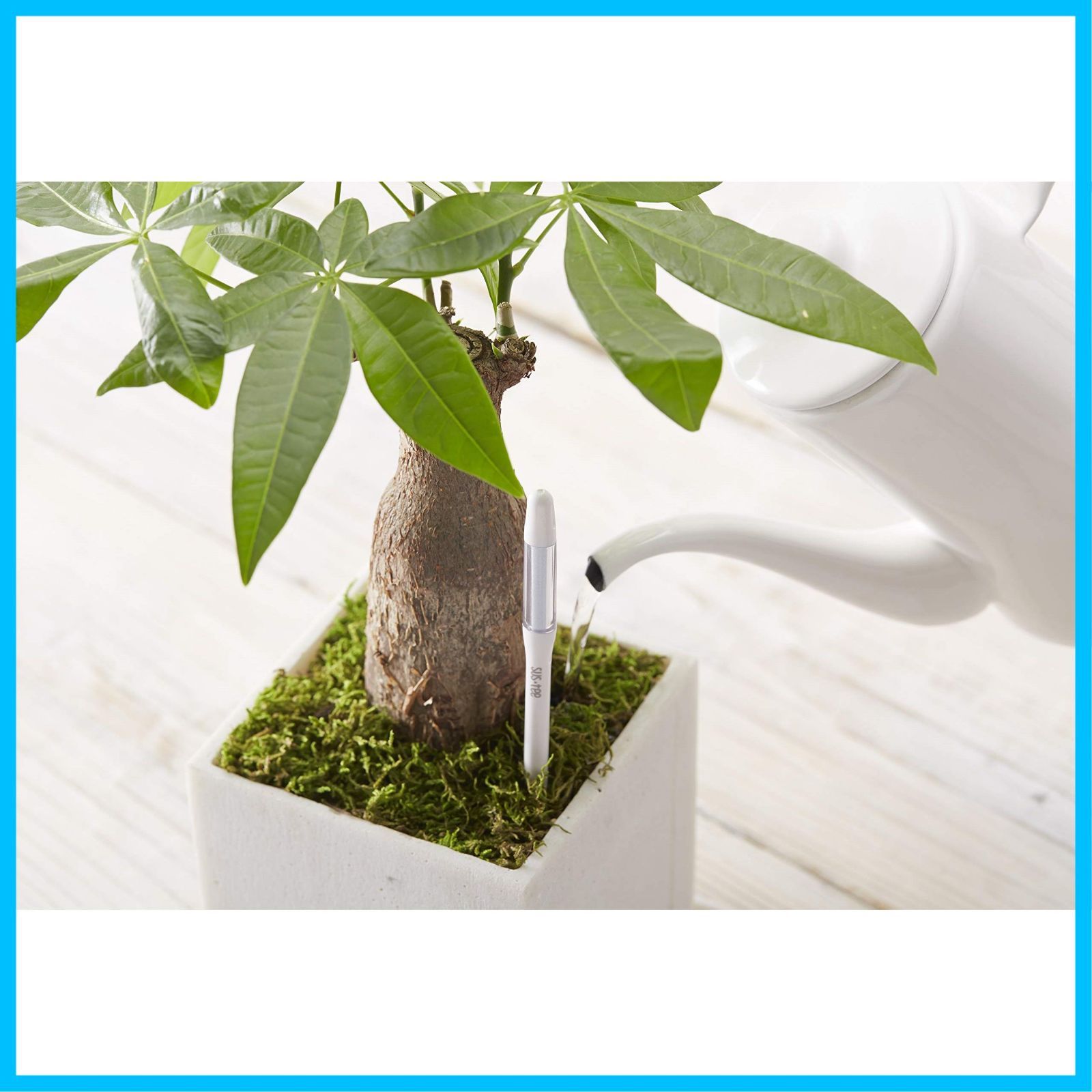 水やりチェッカー