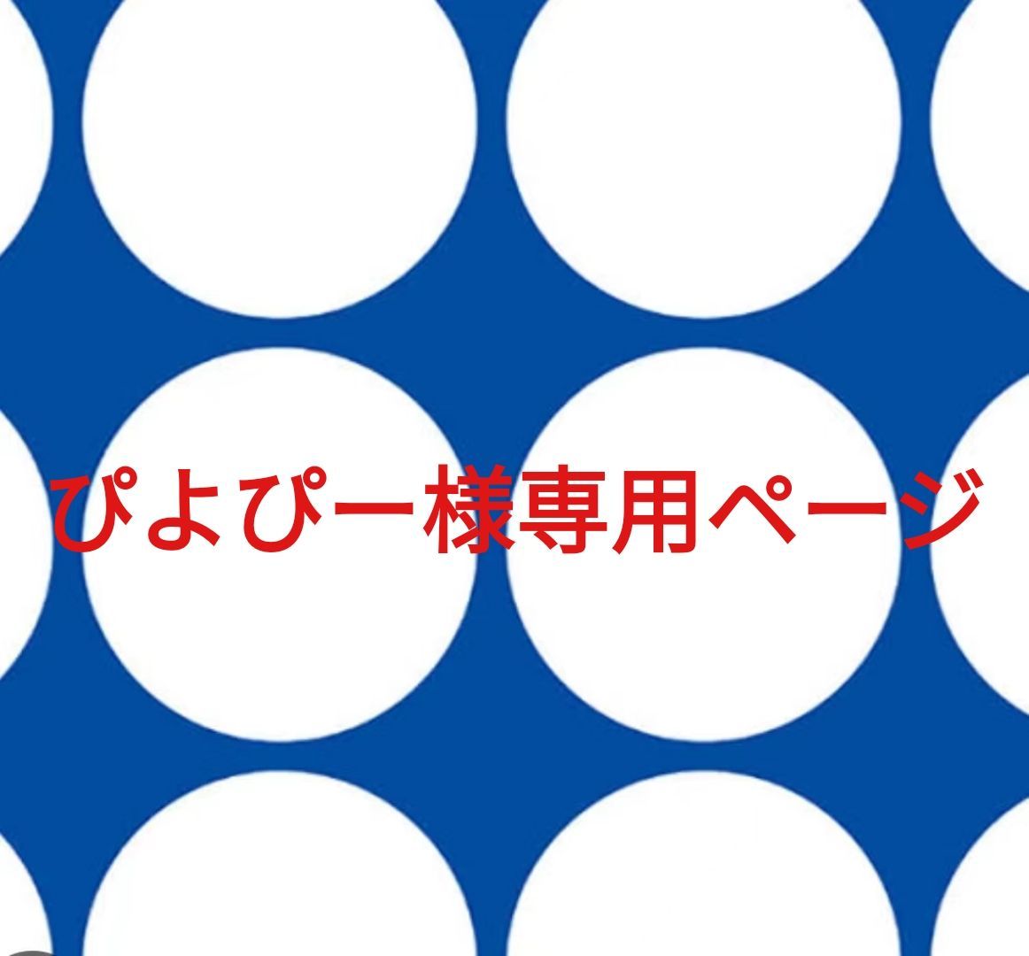 ぴよぴー様専用ページです。