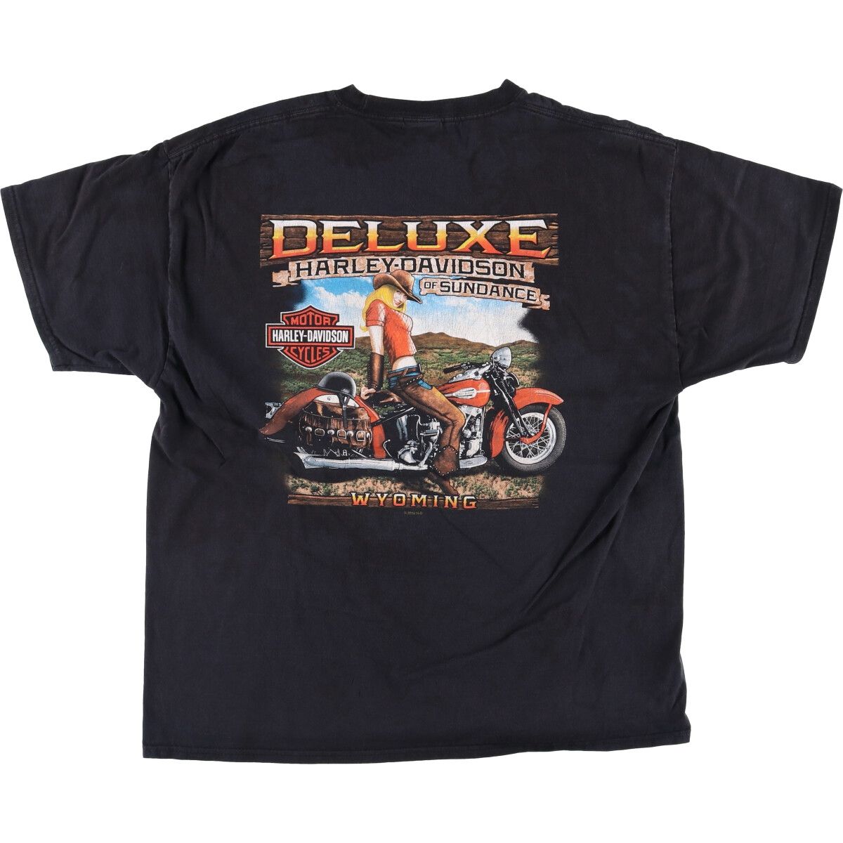 古着 ハーレーダビッドソン Harley-Davidson ピンナップガール