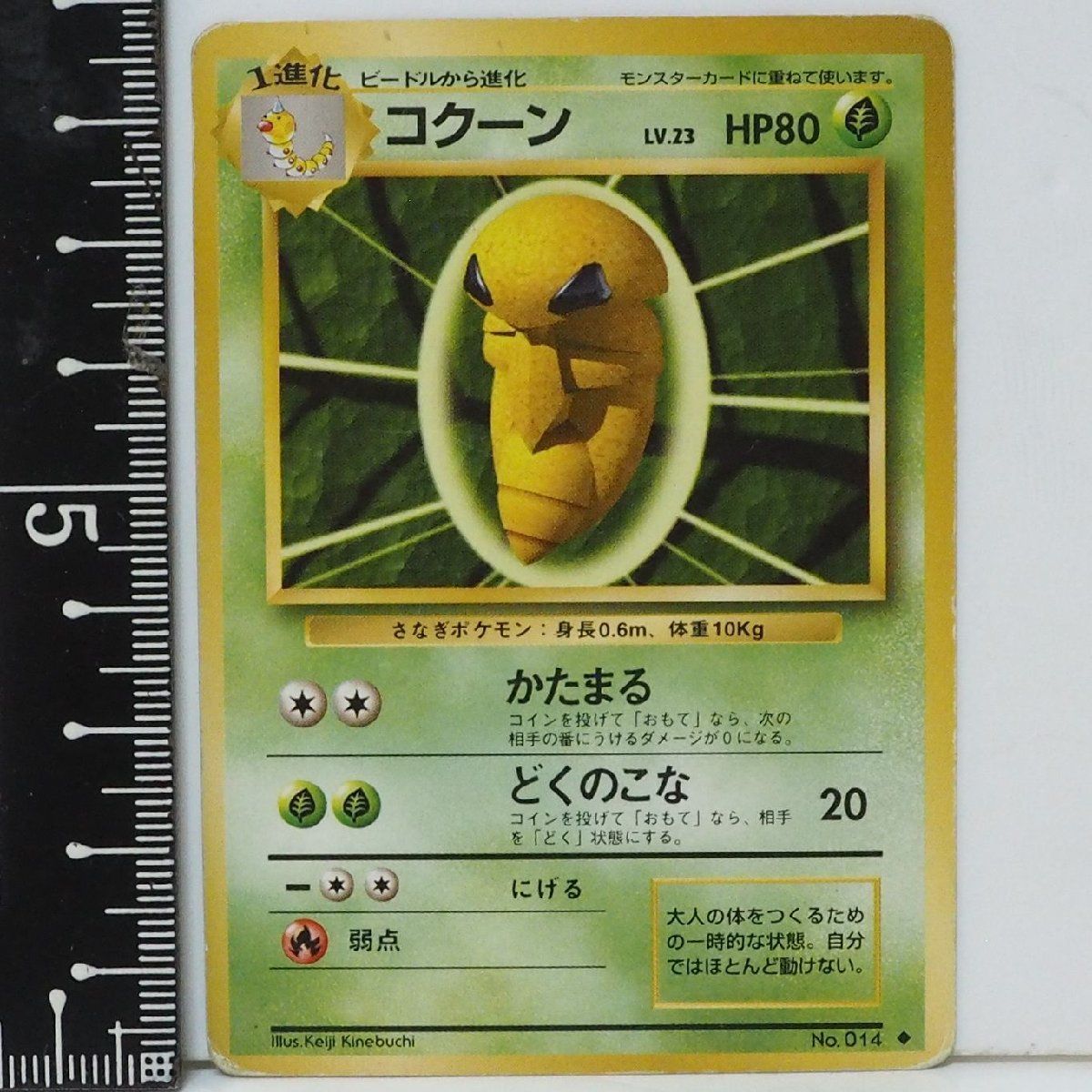 旧裏ポケモン カードゲーム 第1弾【1進化 コクーン LV.23 HP80】草No