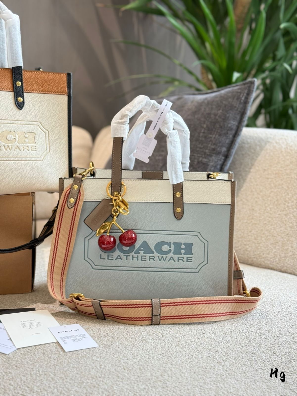 今日 COACH 30 インチ ショッピングバッグ ニューアイテム WWW_USTAUSTRALIA_COM_AU