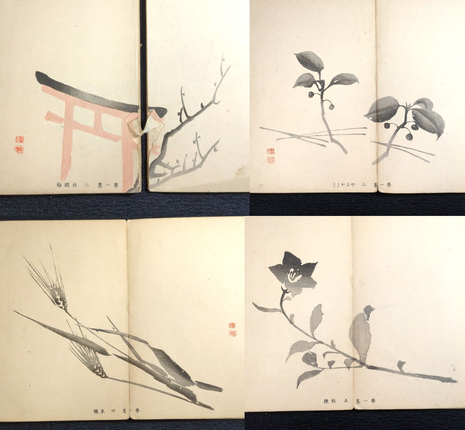 彩色 木版画 絵入 絵本◇習画百題◇12図 画譜 絵手本 川端玉章 明治