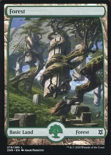 中古】マジックザギャザリング 279/280[C]：Forest/森(279/280) - メルカリ