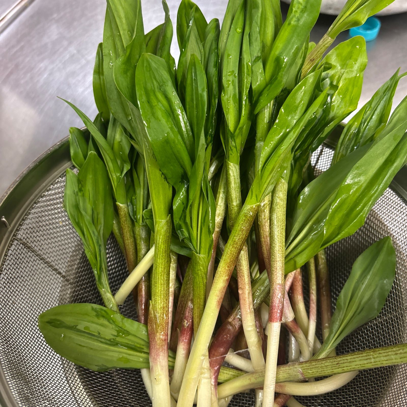 行者ニンニク 2kg