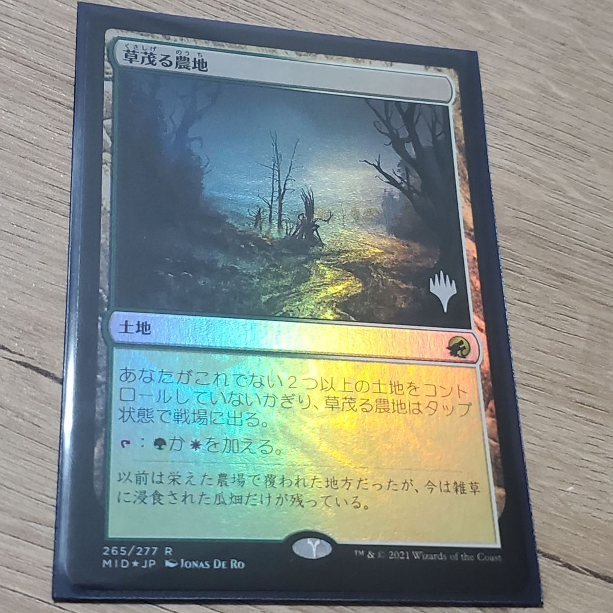 MTG 草茂る農地 foil プロモ - メルカリ