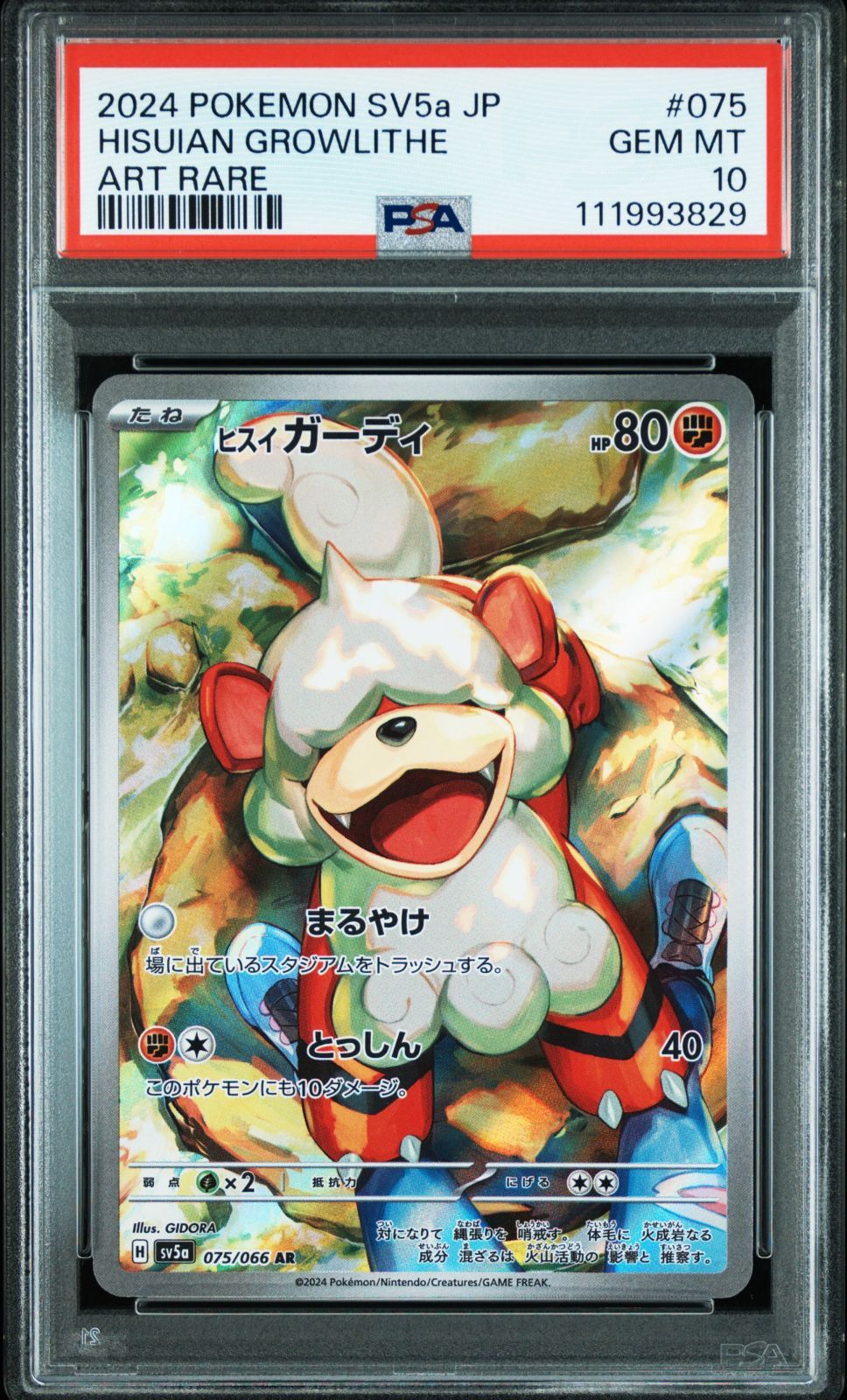 PSA10 ポケモンカード ポケカ サザレ＆ヒスイ ガーディ 092/066