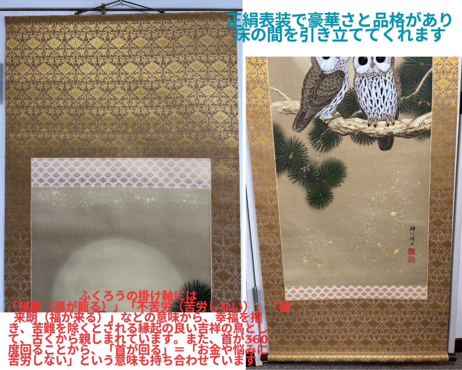 美品 掛け軸 広森耕仁作 夫婦梟図 共箱 太巻き付 美術年鑑掲載