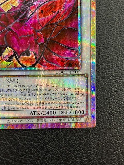 ◎遊戯王 黒薔薇の破滅竜 DOOD-JP039 プリズマティック