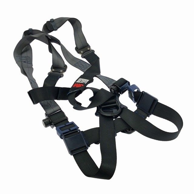 DBI-サラ ライト