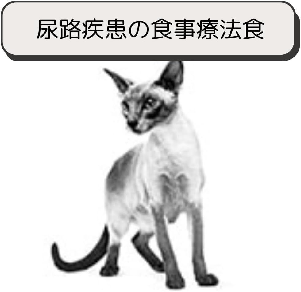 ロイヤルカナン